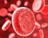 Ученые создали универсальную кровь