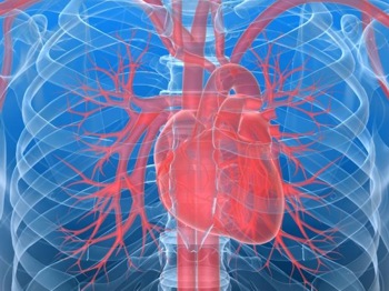 Разработана микротурбина для человеческой артерии