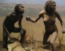 Голая обезьяна: ученые выяснили, почему древние гоминиды потеряли шерстяной покров