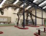 Ученые впервые реконструировали походку динозавра