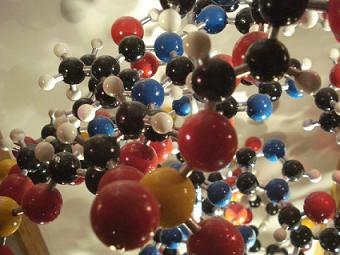 С чего началась жизнь - с самовоспроизводства молекул или с обмена веществ?